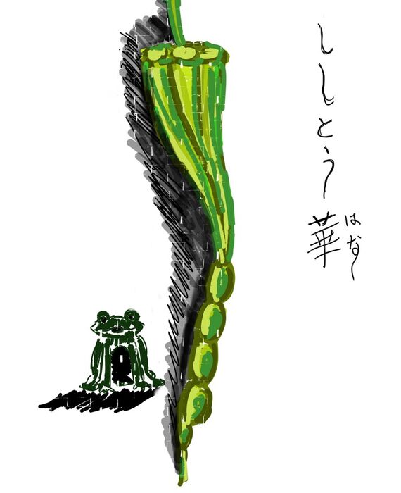 案件個別(新種華ししとう)